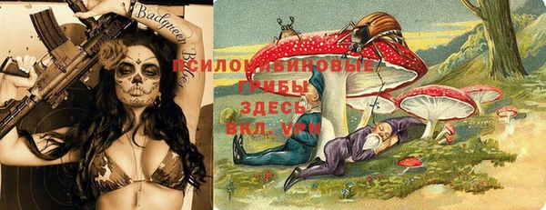 дурь Белокуриха