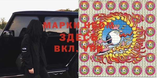 ECSTASY Богородицк