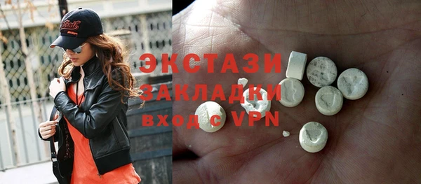 ECSTASY Богородицк